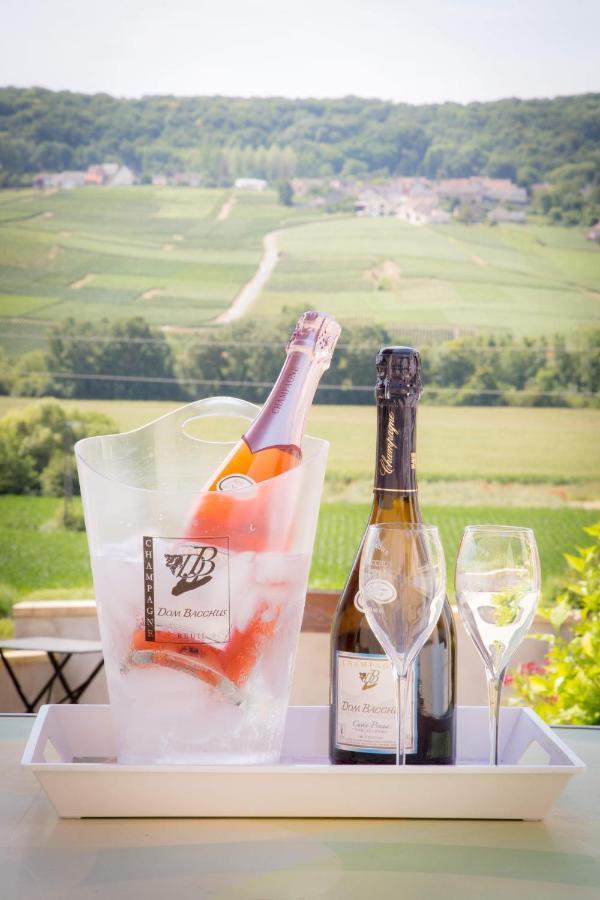 Bed and Breakfast Domaine Bacchus Reuil-sur-Marne Exterior foto