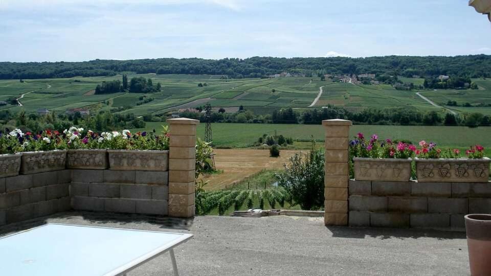 Bed and Breakfast Domaine Bacchus Reuil-sur-Marne Exterior foto