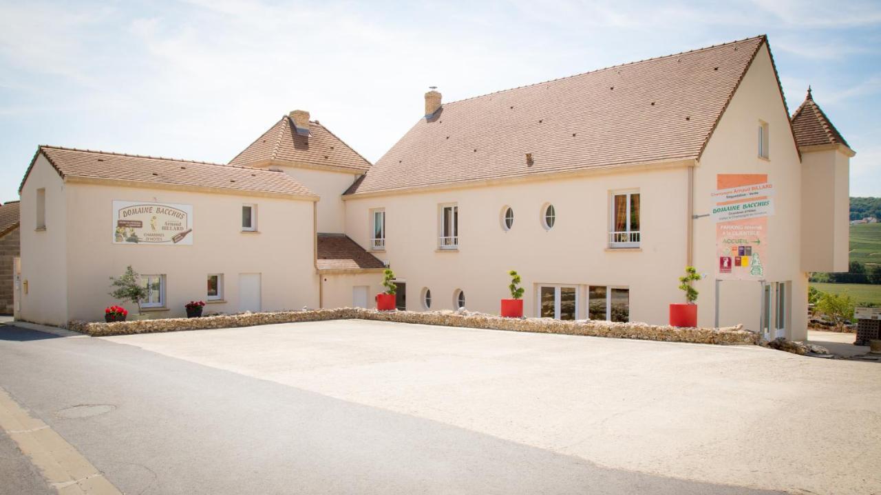 Bed and Breakfast Domaine Bacchus Reuil-sur-Marne Exterior foto
