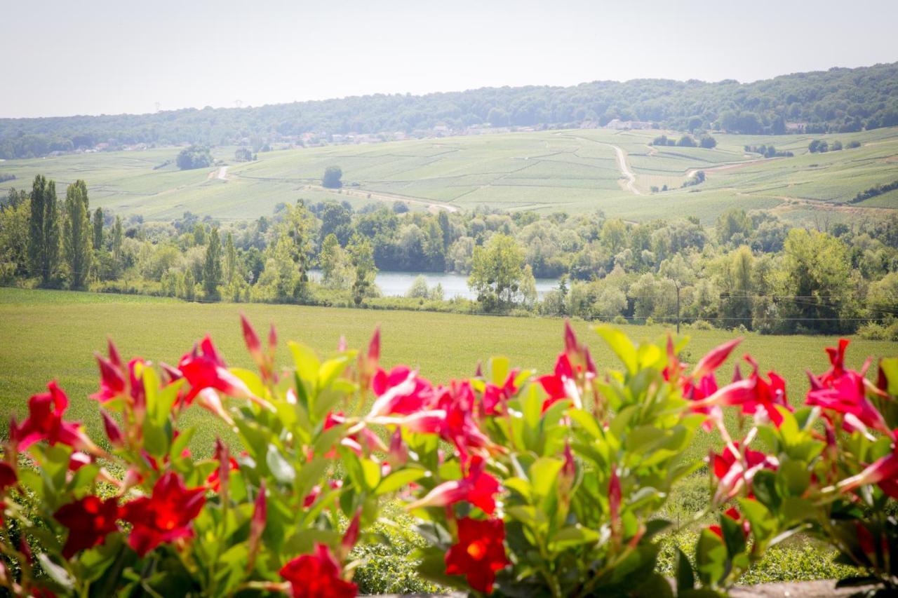 Bed and Breakfast Domaine Bacchus Reuil-sur-Marne Exterior foto