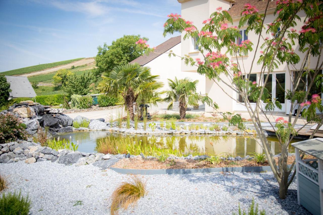 Bed and Breakfast Domaine Bacchus Reuil-sur-Marne Exterior foto